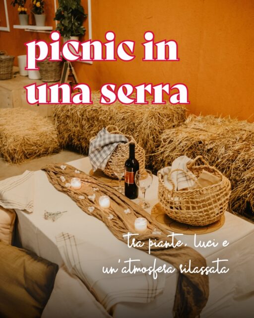 Una serra piena di verde, luci soffuse e buon cibo 🌱

Picnic in una serra - Acerplant 

👉🏼 Scoprilo al link in bio!

#ohmybob #esperienze #cosedafare #picnic #napoli