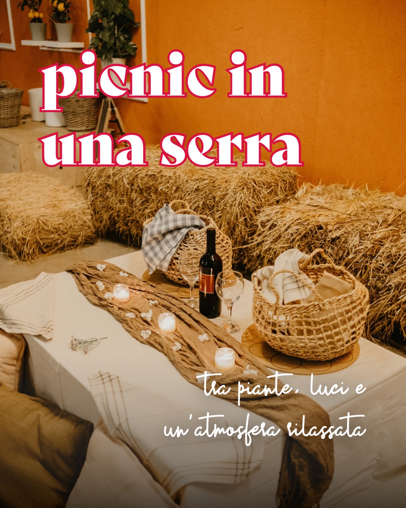 Una serra piena di verde, luci soffuse e buon cibo 🌱

Picnic in una serra - Acerplant 

👉🏼 Scoprilo al link in bio!

#ohmybob #esperienze #cosedafare #picnic #napoli