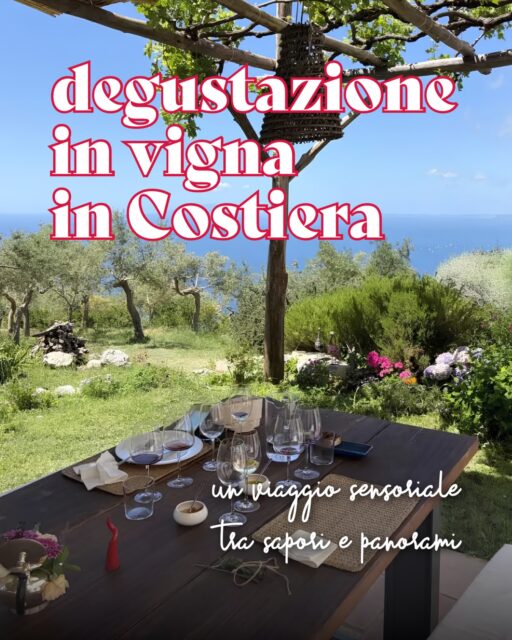 Sulle colline di Vico Equense ti aspetta un viaggio tra i sapori autentici della Campania 🍇🍷

Dai vini della cantina ai prodotti della tradizione, il tutto con il Golfo di Napoli a fare da sfondo 🌊

👉🏼 Prenota ora al link in bio!

#ohmybob #degustazione #vino #cosedafare #napoli