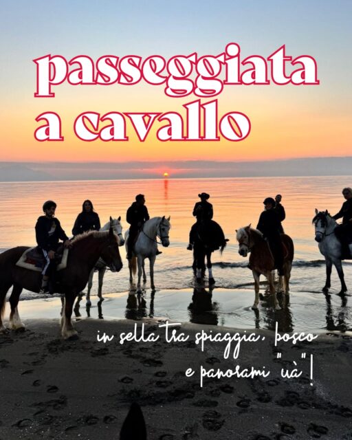 A cavallo tra la Pineta di Cuma e il mare 🐴🌿🌊

Si parte immersi nel verde, tra sentieri nella natura e scorci spettacolari, e si arriva fino alla spiaggia, per vivere la libertà di cavalcare a pochi passi dal mare ✨

ℹ️ Non hai mai cavalcato? Nessun problema, l’esperienza è adatta anche ai principianti assoluti: sarai sempre accompagnato da una guida qualificata! 

Allora, sali in sella con noi? 🐎 

👉🏼 Prenota ora al link in bio! 

#ohmybob #cosedafare #cavallo #cavalcare #napoli