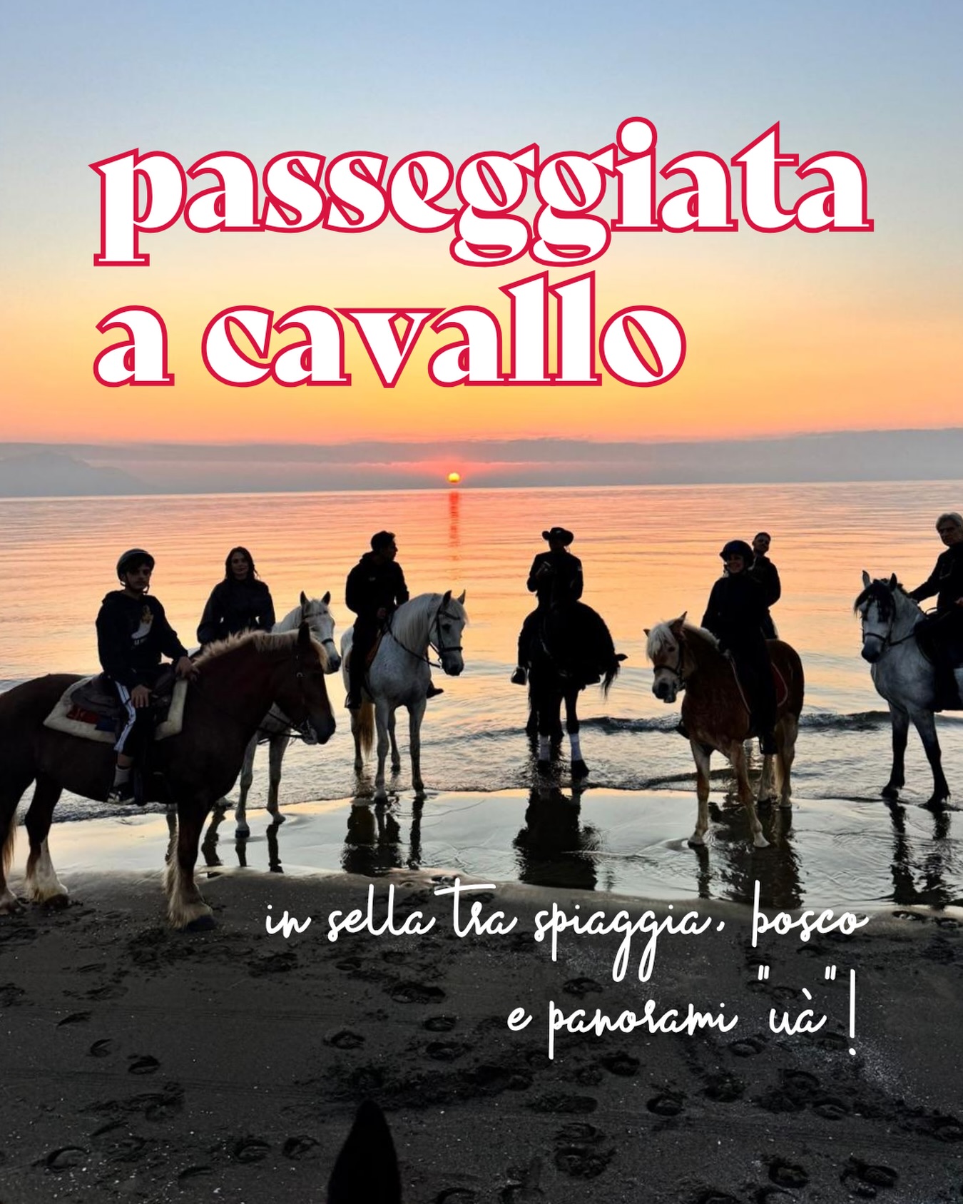 A cavallo tra la Pineta di Cuma e il mare 🐴🌿🌊

Si parte immersi nel verde, tra sentieri nella natura e scorci spettacolari, e si arriva fino alla spiaggia, per vivere la libertà di cavalcare a pochi passi dal mare ✨

ℹ️ Non hai mai cavalcato? Nessun problema, l’esperienza è adatta anche ai principianti assoluti: sarai sempre accompagnato da una guida qualificata! 

Allora, sali in sella con noi? 🐎 

👉🏼 Prenota ora al link in bio! 

#ohmybob #cosedafare #cavallo #cavalcare #napoli