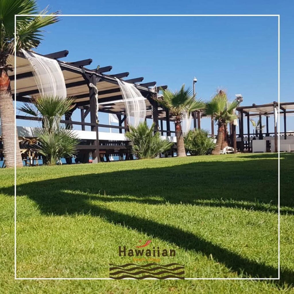 Colazione in spiaggia | Hawaiian