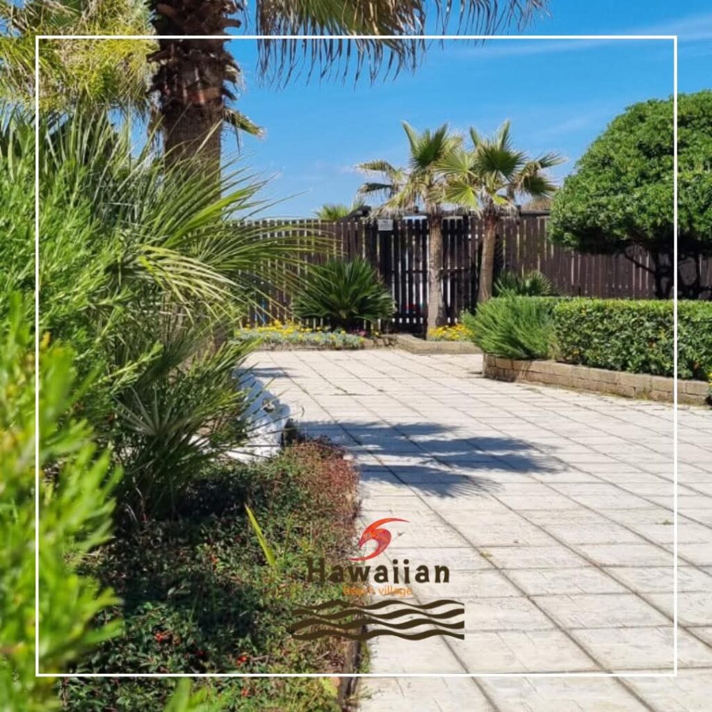 Colazione in spiaggia | Hawaiian