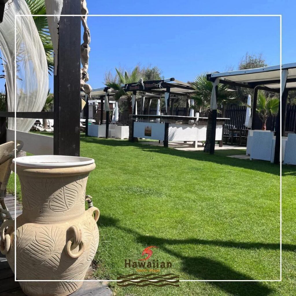 Colazione in spiaggia | Hawaiian