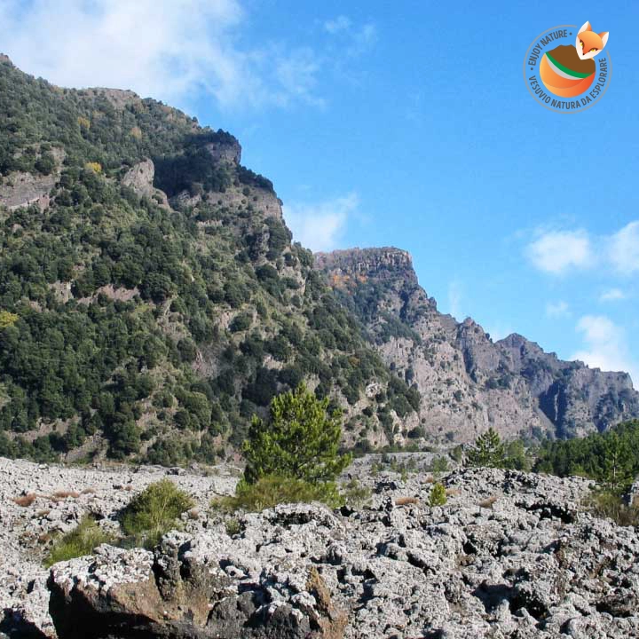 Avventura sul Vesuvio