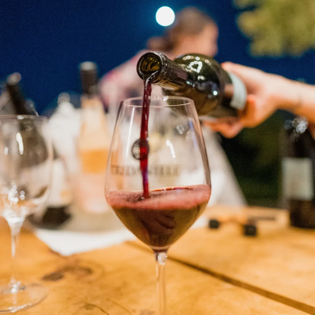 Aperitivo in vigna Trentinara - ohmybob