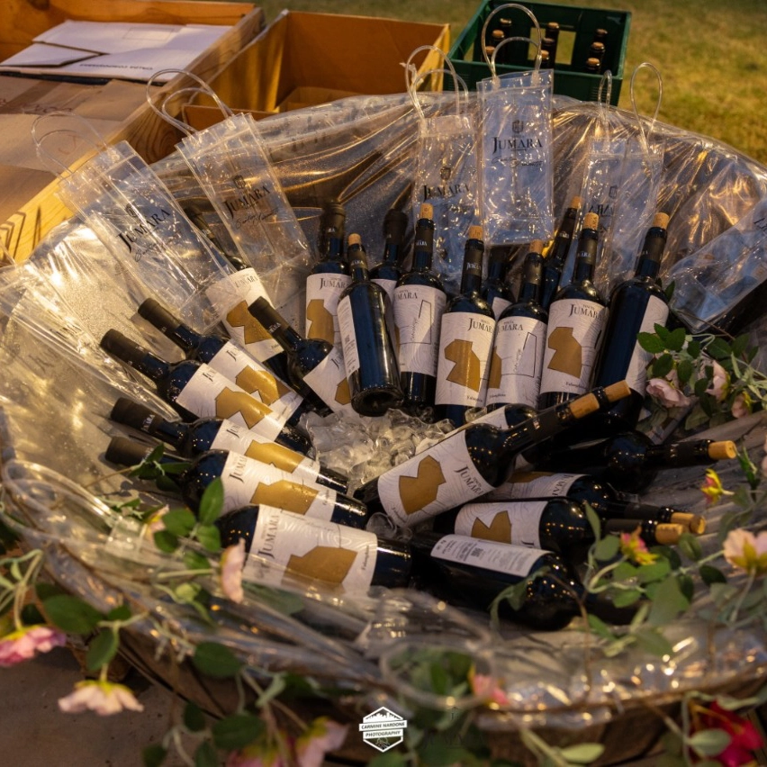 Sannio Experience – Weekend in vigna
